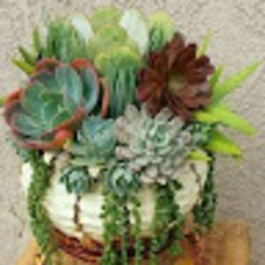 Meet your Posher, Veronica